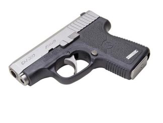 CW380 .380 ACP 2.5′ Black/STS w/6rd Mag Front Night Sights